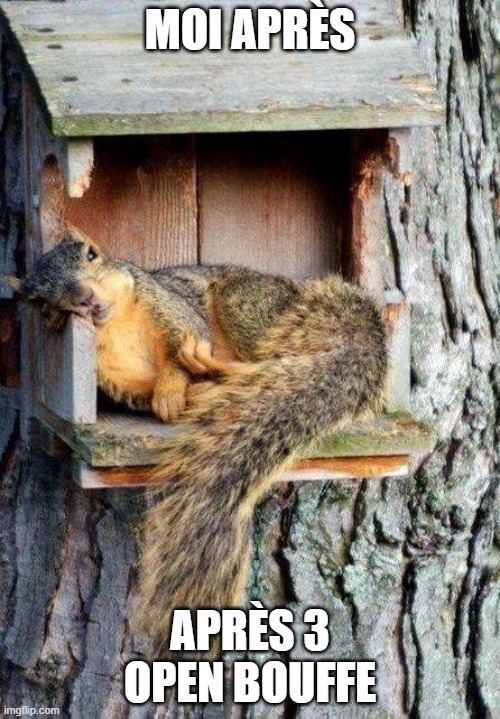 Moi après 3 open bouffe