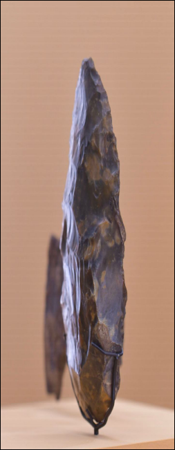 caca préhistorique laissé lors de la campagne TPL de -167069 (plus ou moins un an, selon mes calculs savants de datation) avant J-C