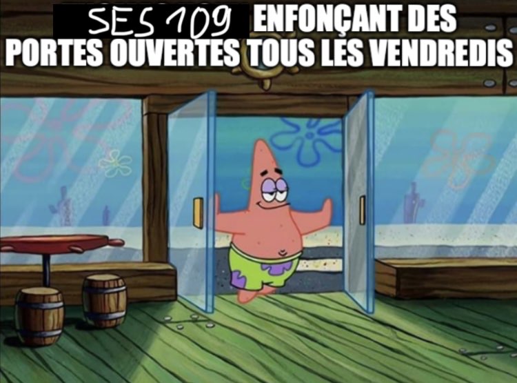 Porte ouverte SES109ées